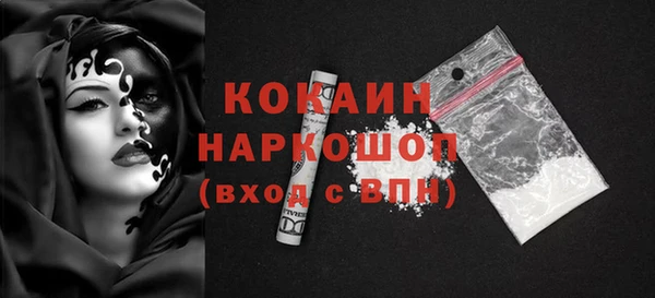 сатива Беломорск