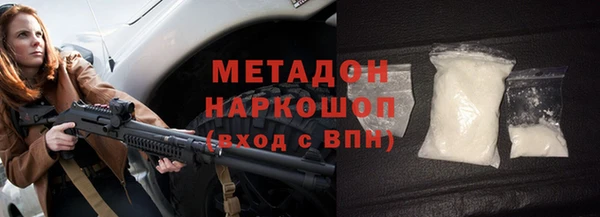 сатива Беломорск