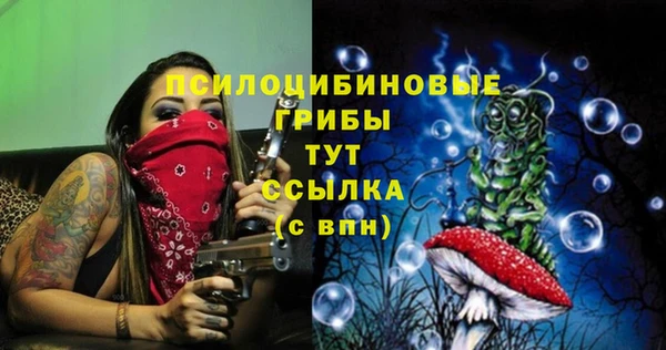 сатива Беломорск