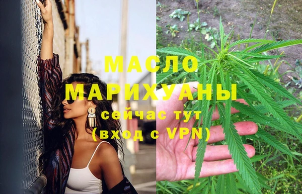 сатива Беломорск
