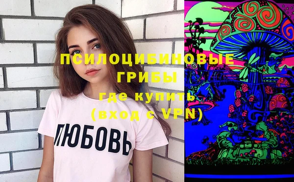 сатива Беломорск