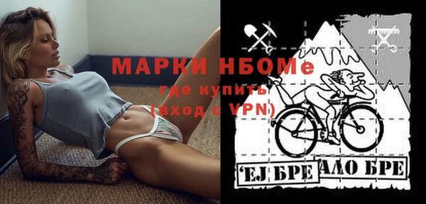 сатива Беломорск