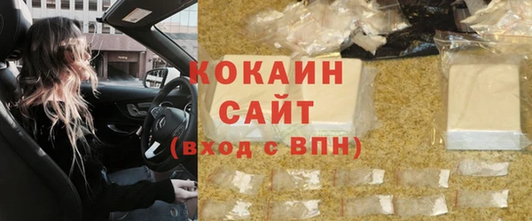 сатива Беломорск